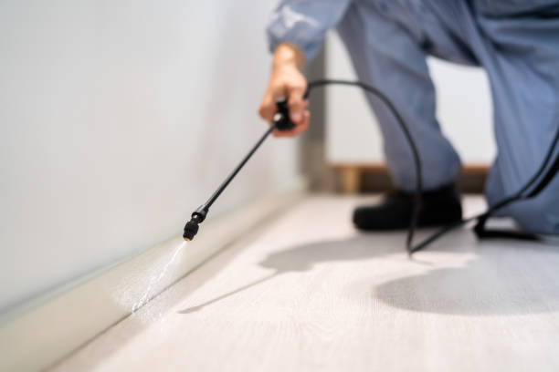 Licensed Pest Control service in Kenilworth, PA - Show Me Pest Control