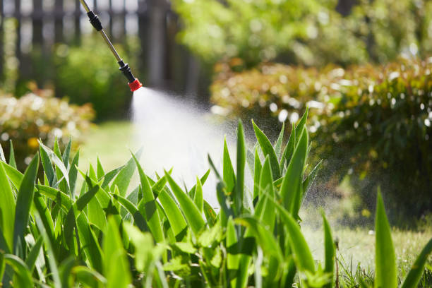 Tamper-Resistant Bait Stations for Rodents in Kenilworth