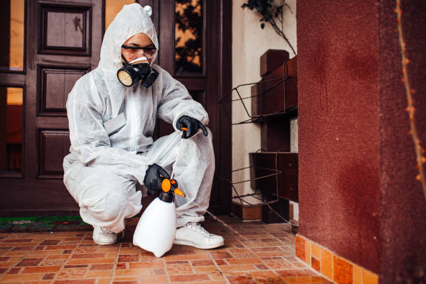 Attic and Crawl Space Rodent Treatment in Kenilworth