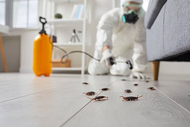 Commercial Rodent Management in Kenilworth